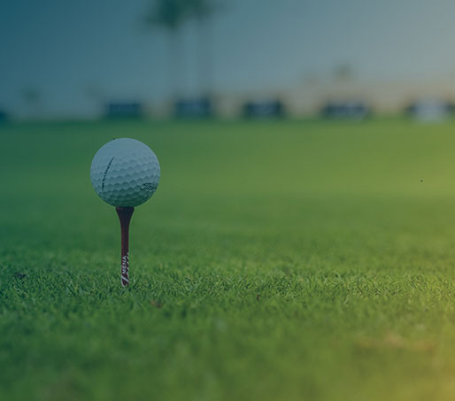 green-fees-executive-intro